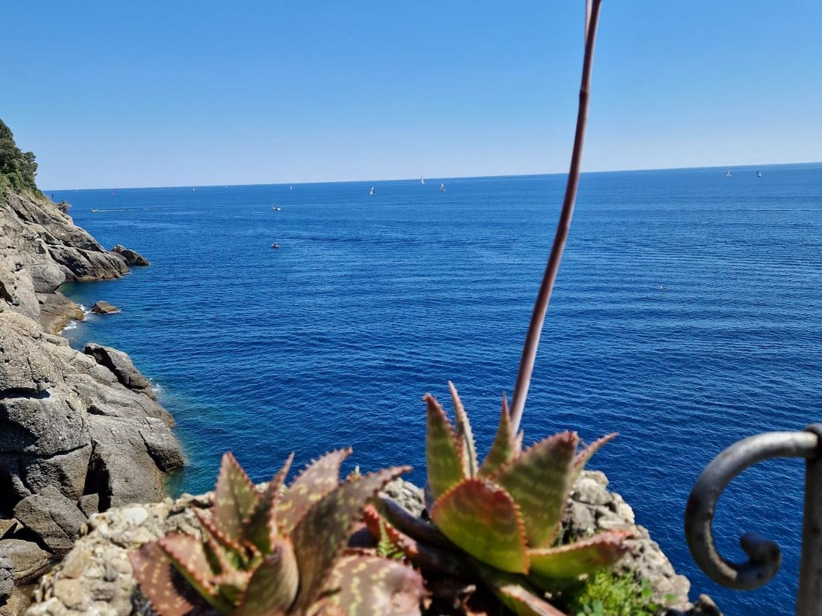 Portofino in der Cinque Terre